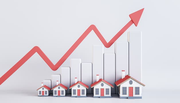 Legal & Investment Perspective